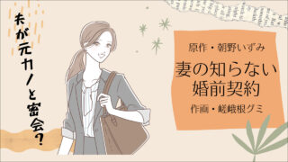 妻の知らない婚前契約 朝野いずみ 嵯峨根グミ
